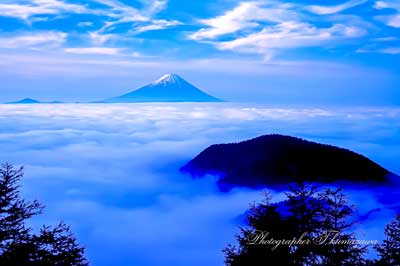 19910526-mizugamoririndi45187