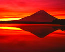 19911215-syoujiko4515022m