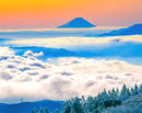 19921112-takabocchi662590m