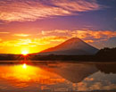 19980102-syoujiko4515m