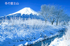 20010401-oshino4569150b2m