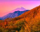 20061105-otsukishi_Otoge45240m