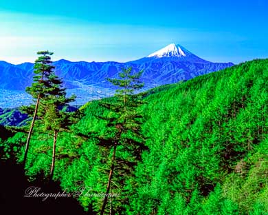 20070520-mizugamori4524