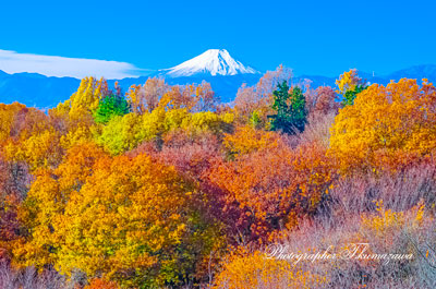 20131201-rokudouzankoen3148