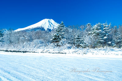 20160207-yamanakakomura_harimomi104
