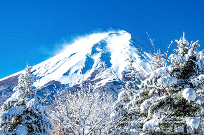 20200119-fujiyoshidashi2346