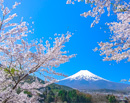 20230409-fujiyoshidashi_asumi9396m