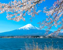 20230409-kawaguchiko40651m