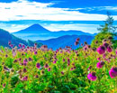 20230926-kushigatayama4967m