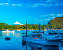 20240129-nishiizu_heda6884m