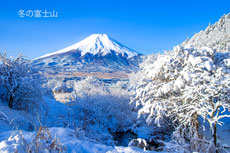20240226-oshinomura3578m