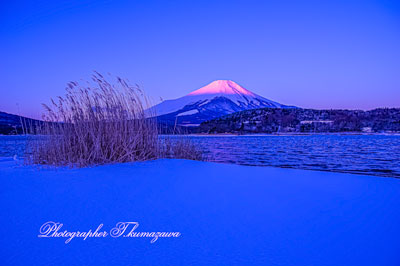 20250307-yamanakako0408