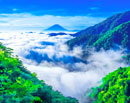 20250723-maruyamarindo8132m