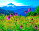 20250922-kushigatayama096072m