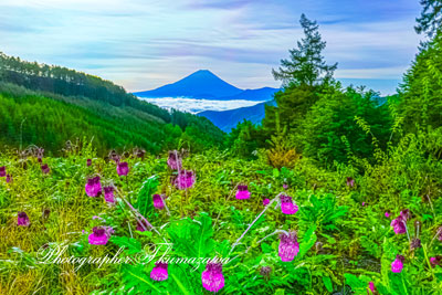 20251002-kushigatayama09887
