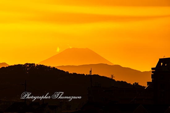 20251110-chofu_tamagawa3_9021