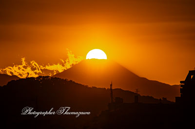 20251110-chofu_tamagawa3_9052m