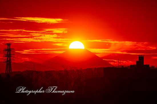 20251112-Fuchushi_oshitate5_9189