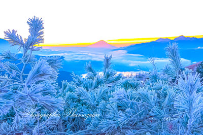 20251112-takabocchi01364