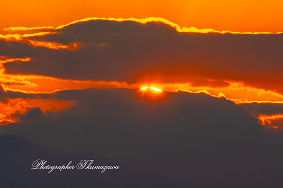 20251120-Fuchu_mitten9471