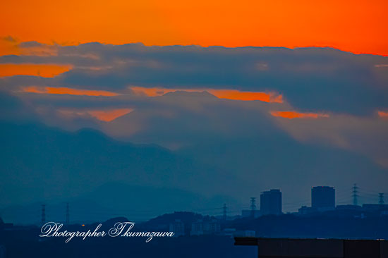 20251120-Fuchu_mitten9483