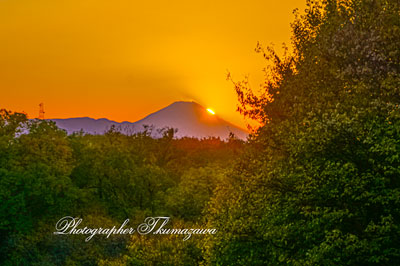 20251121-koganeishi_higashicyo9569m