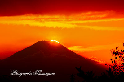 20251123-koganeishi_kannonzaka9787m