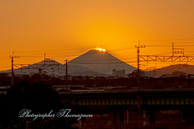 20260104-tachikawashi_shibasaki0315m