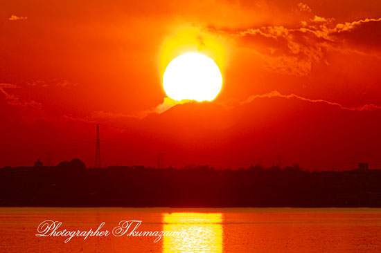 20260105-kasumigaurashi_kamo2110