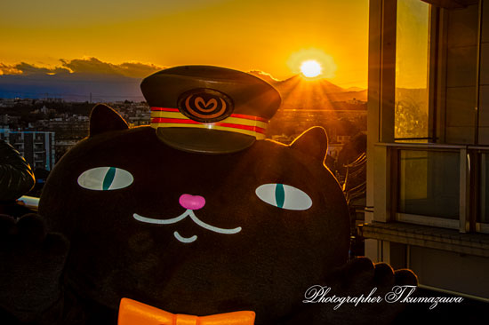 20260106-shibasaki_taikukaneki0525