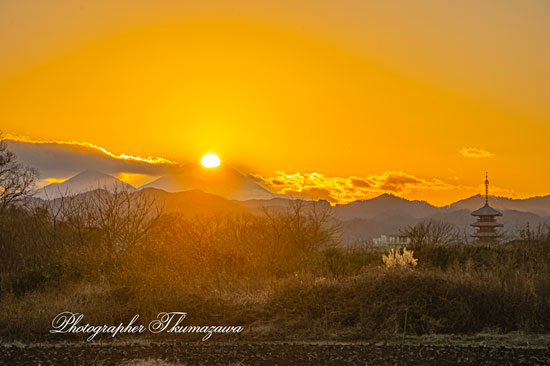 20260109-hachiojishi_kobikimachi0626