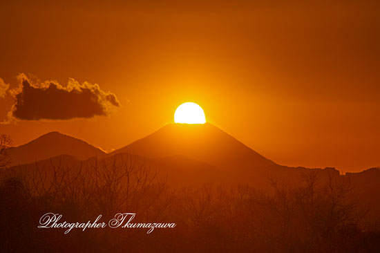 20260110-hachiojishi_kobikimachi0695