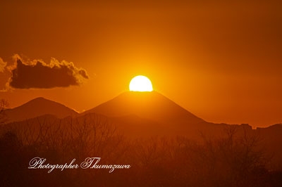 20260110-hachiojishi_kobikimachi0695m