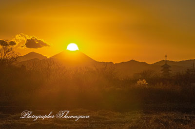 20260110-hachiojishi_kobikimachi0716m