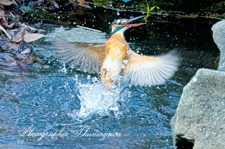 20260113-nogawa03154