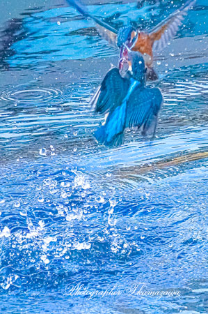 20260113-nogawa03288t