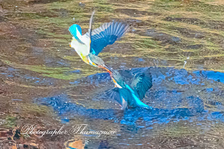 20260113-nogawa03442