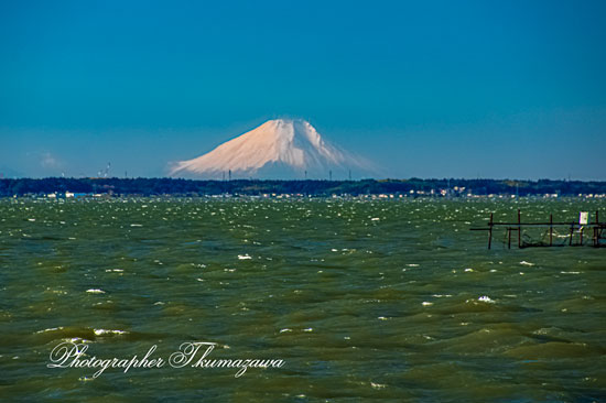 20260114-namekata_kasumigaura0842