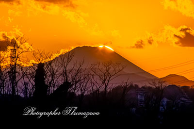 20260130-chofushi_kamiishihara3_1790m