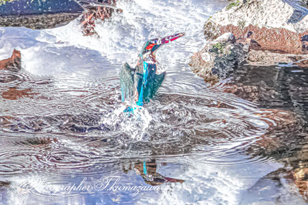 20260209-nogawa00481