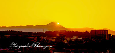 20260209-setagayaku_kitami1_2497m