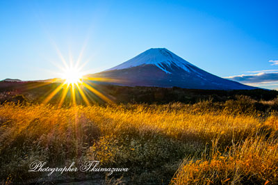 20260314-asagirikogen2544