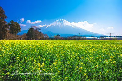 20260329-asagirikogen2845