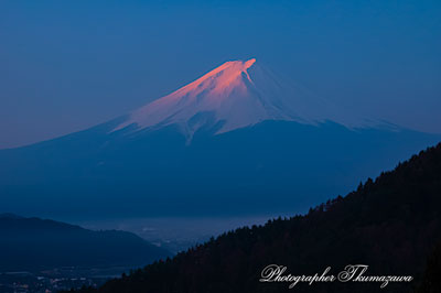 20260329-misakatoge2722