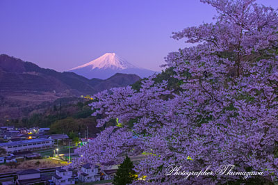 20260403-otsukishi_oiseyama2798