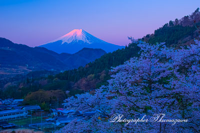 20260403-otsukishi_oiseyama2811