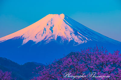 20260403-otsukishi_oiseyama2815