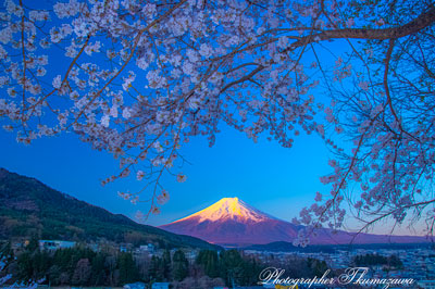 20260408-fujiyoshidashi_ooasumi2922