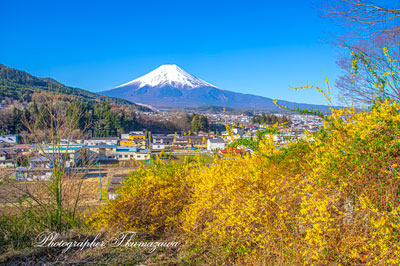 20260408-fujiyoshidashi_ooasumi2967