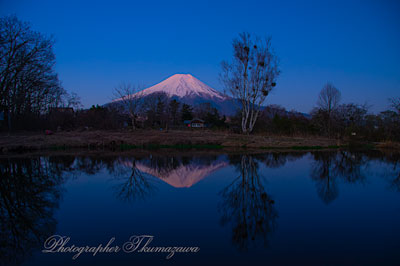 20260408-oshinomura2893